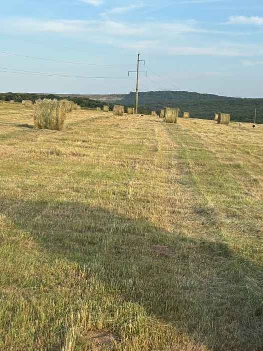 Baloți mari rotunzi amestec ierburi perene