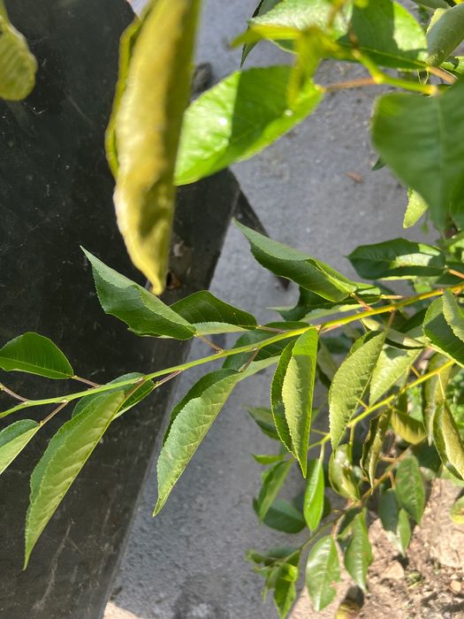 Цистерна за вода cisterna za voda