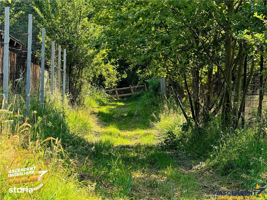 FILM! Teren extravilan pe 2.737mp,zona pretioasa,acces facil,Dobarlau,