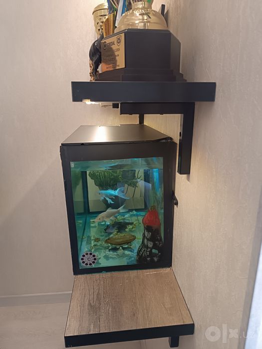 Akvarium sotiladi