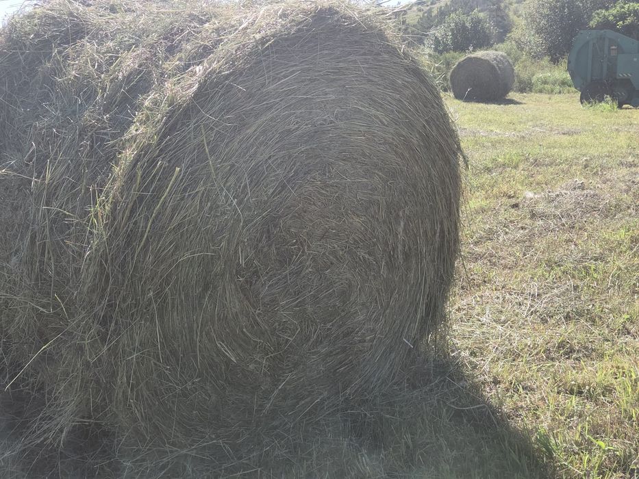 Продам сено рулонные