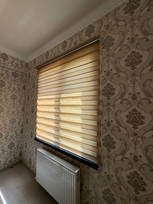 Азиялық қыздар секс порно