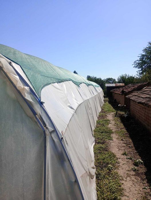 Три броя оранжерии