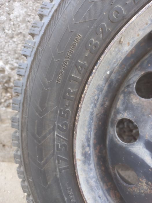 Кыстык донгелектер