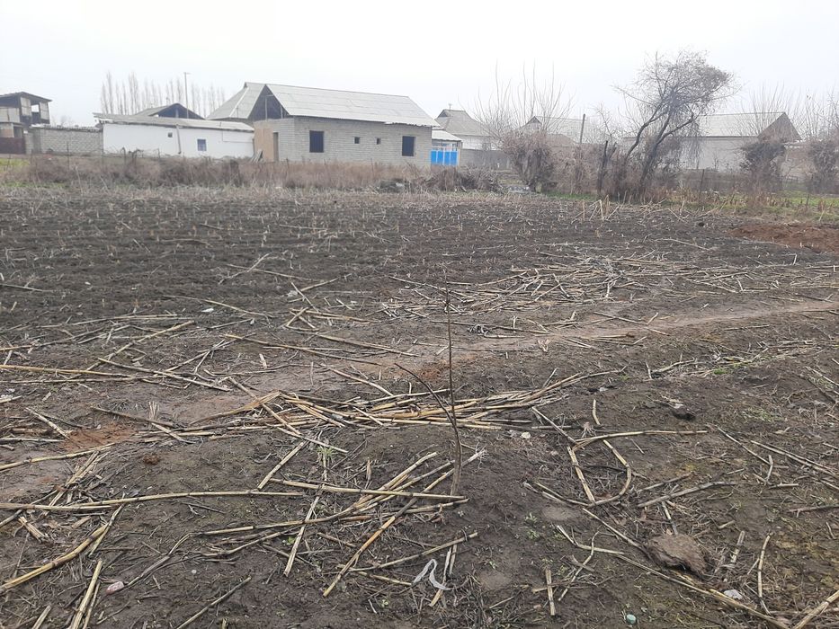 Yer sotiladi chorvachilik uchun zor joy