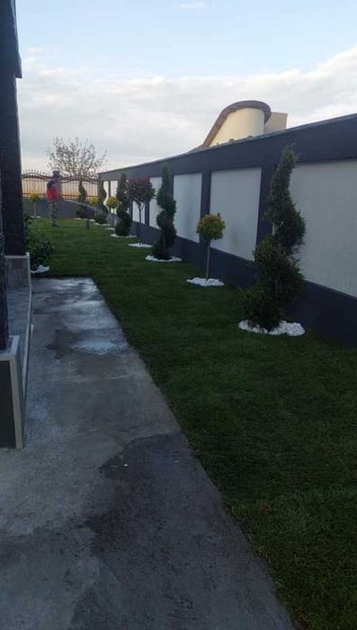 Gazon Rulou Sport și Rezidențial – Rezistență Maximă și Culoare Vibrantă