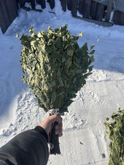 Банные березовые веники