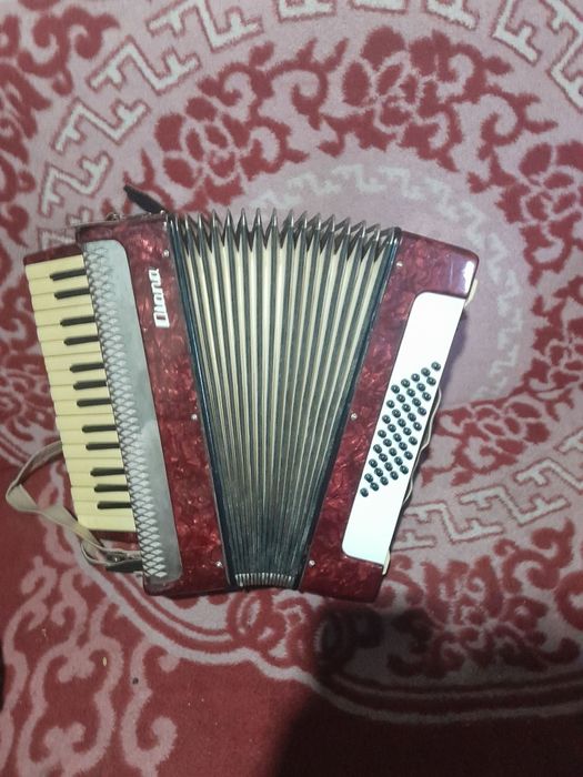 acordeon Timiș vând