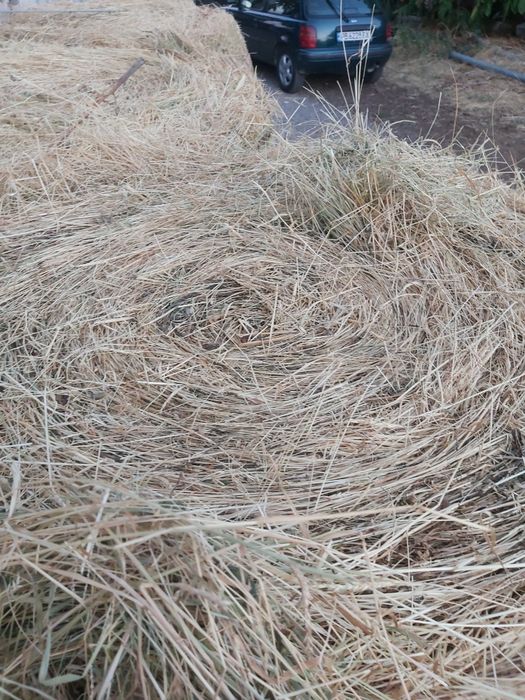 Продавам бали сено и чиста люцерна
