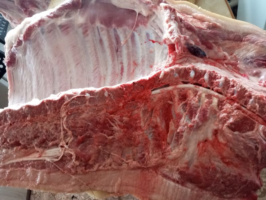 Мясо свинина продам!!!