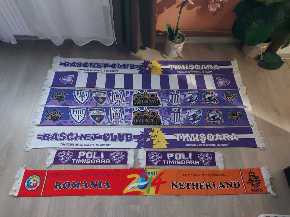 Fulare Poli Timisoara si Romania-Olanda 2014
