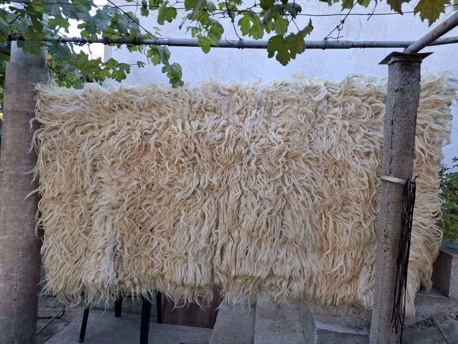 Китеник, губер, халище
