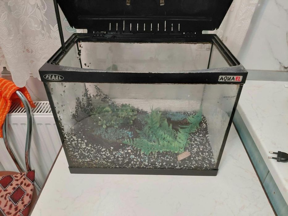 Acvariu de pesti 
Cu pompa de apa 
Si decor 
250 de lei negociabil