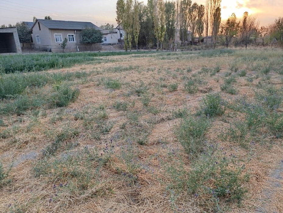 Uy qurishga yer sotiladi urtasaroy navruzdan 4km