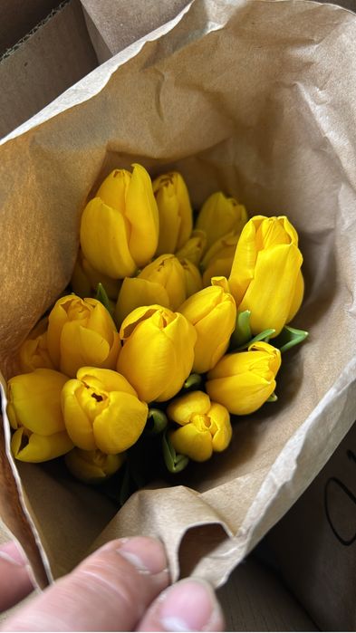 Тюльпаны 380тг от 100шт