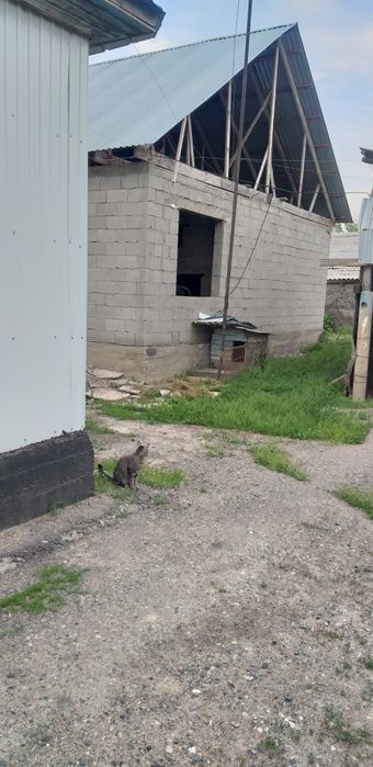 Продам дом с большим участком