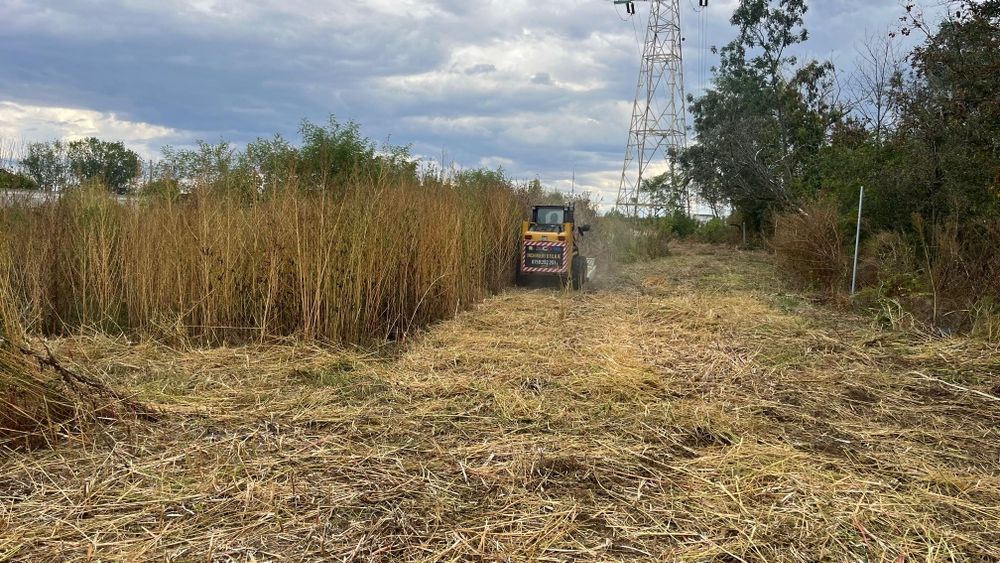 Defrisare curatare terenuri