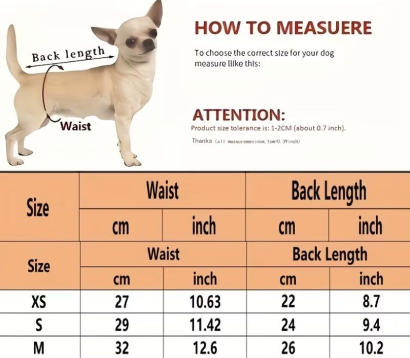 Физиологични гащички за куче с презрамки