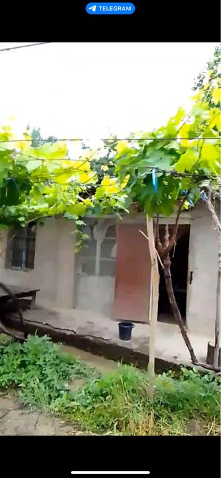 Uchaska sotiladi Toshkent viloyati Pskent Toshkend dengizi yaqinidaaaa