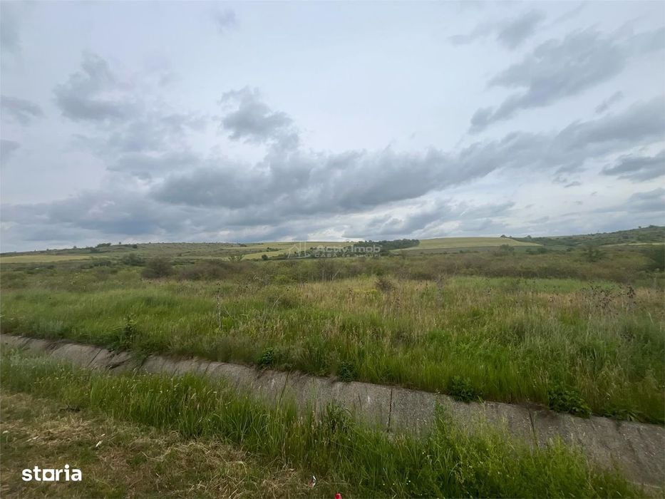 Lugoj, Teren 16.800 Mp., Cu deschidere  de 80 Ml., La Centura Ocolitoa