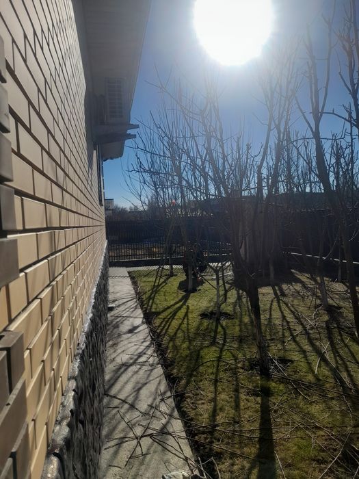 Обрезка плодовых деревьев кустарников