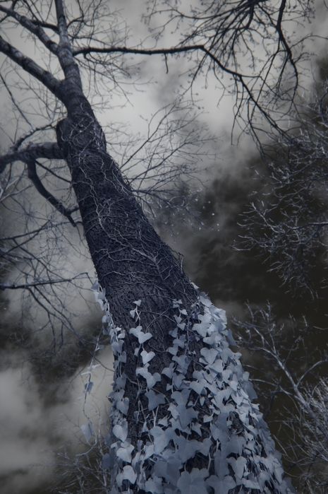 body Sony A3000 full spectrum