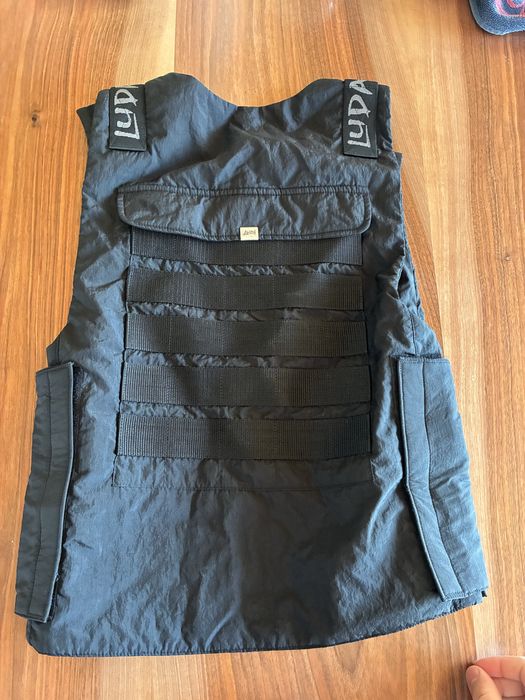 Бронижилетка луда