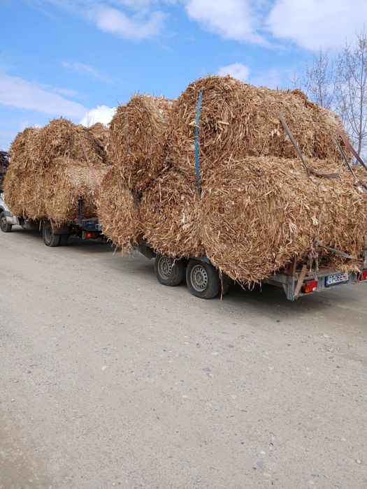 Vand baloți rotunzi de coceni cu iarba.