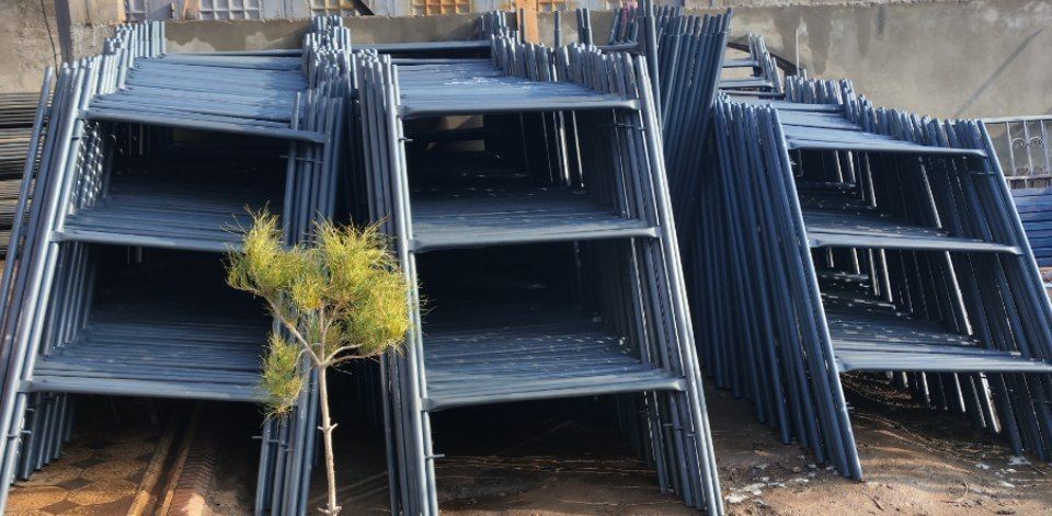 Lesa optom birinchi qol