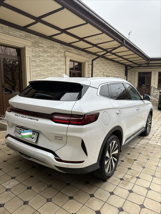 Byd chempion full 2024 gibrid