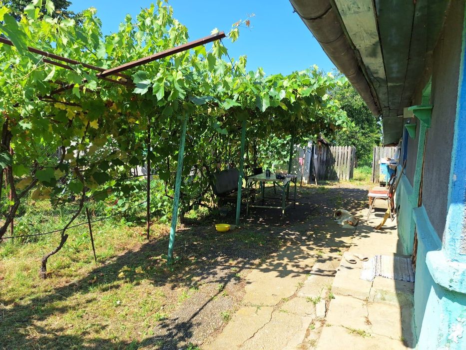 Vând teren cu casa bătrânească