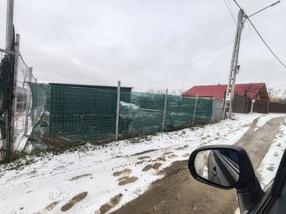 Teren Aroneanu, Dorobanț