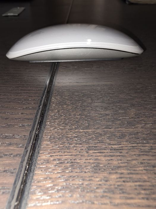 Apple magic mouse 1