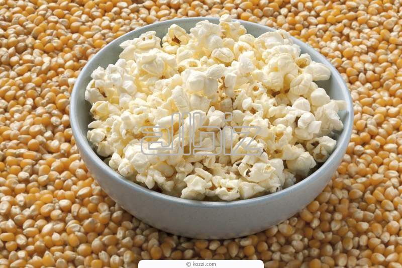 Зерно для попкорна Америка USA