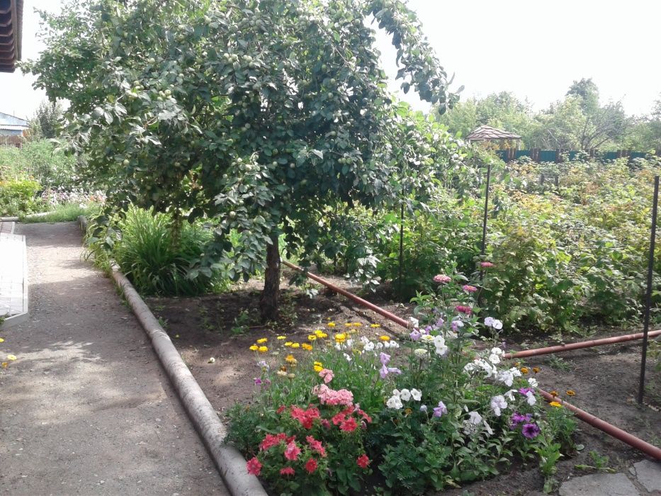 Продам дачу в обществе Юбилейный