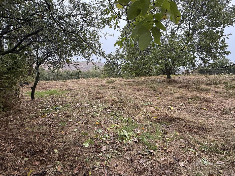 Vand Teren ,2000mp, Com.Bucov,sat  Chitorani