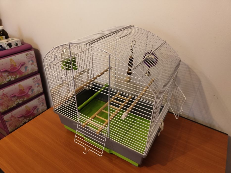 Colivie pasari       .