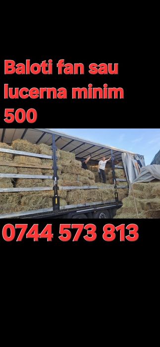 Baloti fan 250-500 Rotunzu 40 Fan or Lucerna.La TIR>RO Ferma chirie

Baloti se aduc pe garantie.
Uferim si cerem seriozitate. 
Nu ducem la BUCATA

Doa