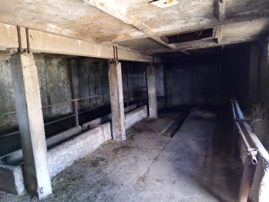 Продаю дом  село жанакала