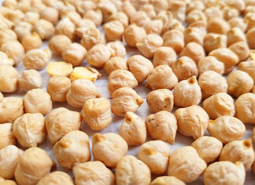 Нахут, гужа, мош оптом нархларда