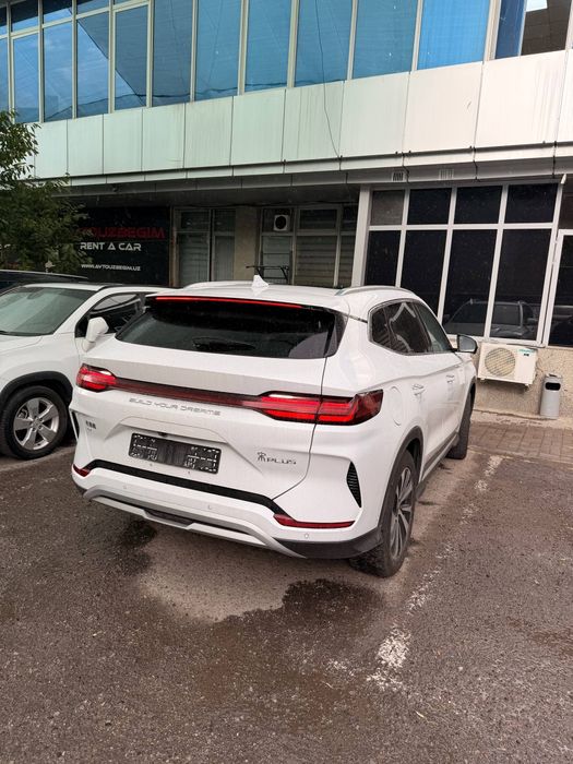 Byd song plus Champion 605