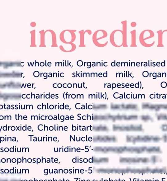 Kendamil Organic formula 2