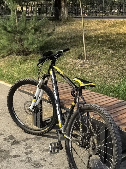 Centurion backfire 27.5