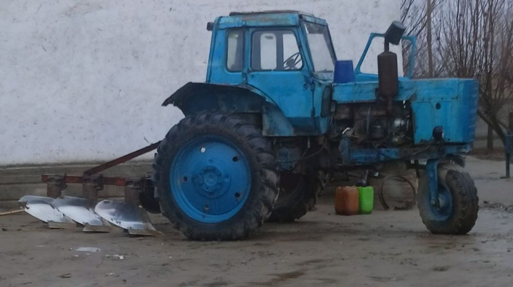 Трактор Беларусь т80х