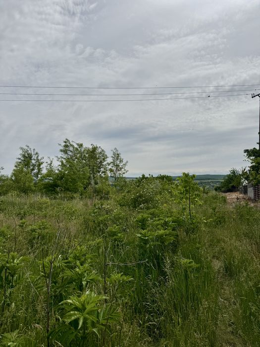 Teren 11.165 mp zona Pacea (lângă Combustibilul/Castillio) – 3400 mp intravilan, utilități la limita de proprietate(gaz,apa,curent electric),13.5 e/mp