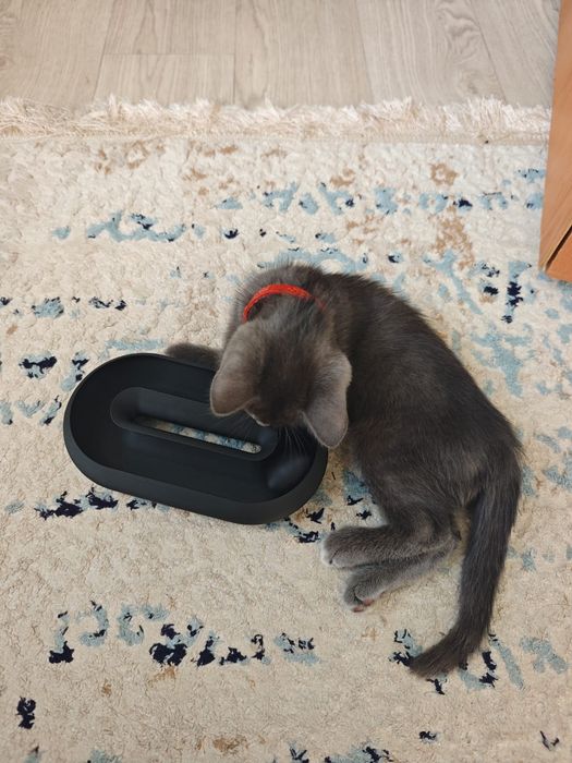 Продам игрушку для кота