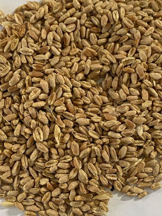 Комбикорм/Тары/Пшеница/Пшено