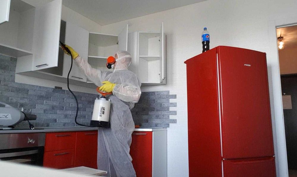 Дезинфекция насекомых клоп klop klapa Dezinfeksiya dezenfeksiya