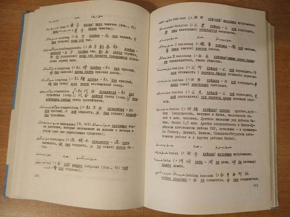 Китайские элементы в современном уйгурском языке