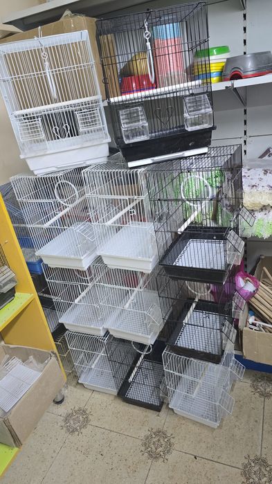 Попугай комбо комплект